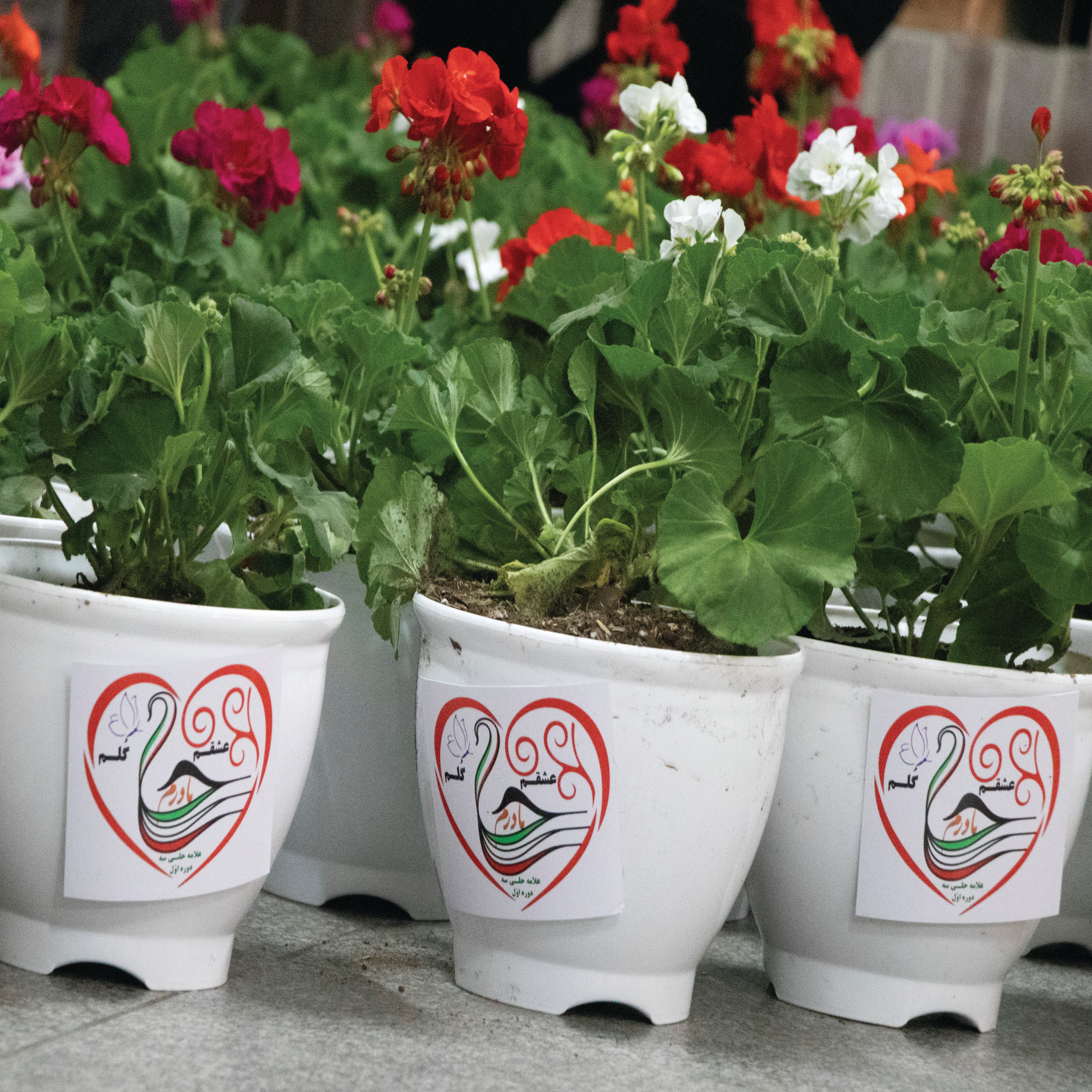 گرامیداشت روز مادر